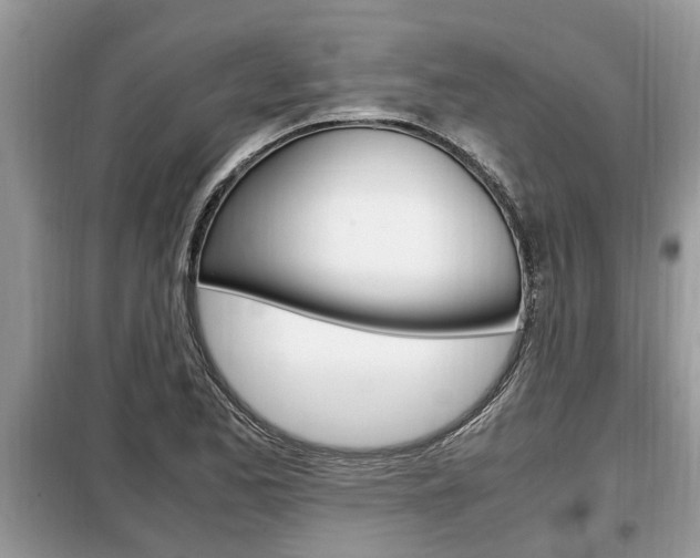 X0000099291173200805020726