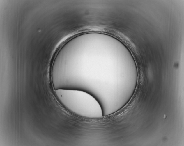 X0000099291174200805020726