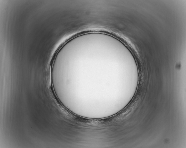X0000099291175200805020726