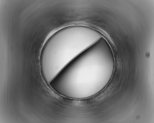 X0000099291176200805020726