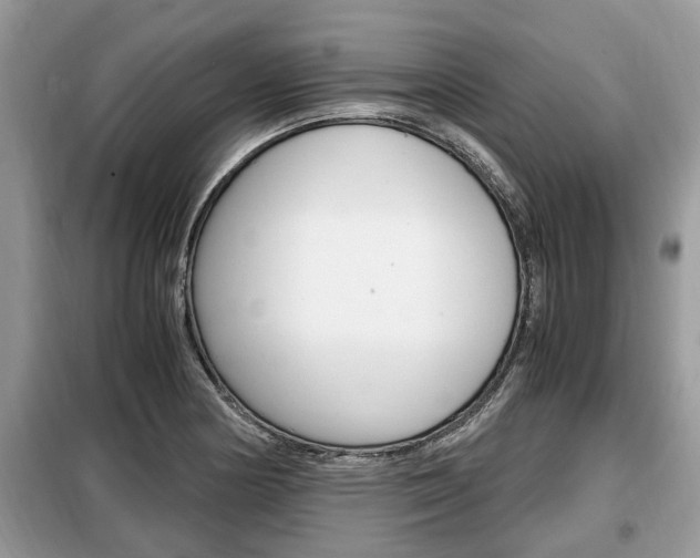 X0000099291178200805020726
