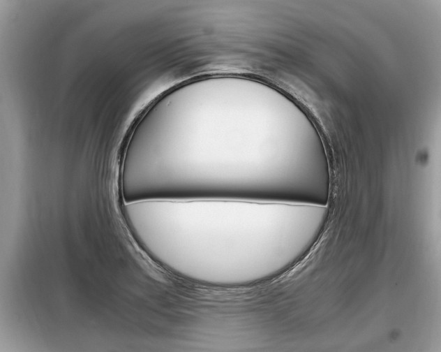 X0000099291179200805020726