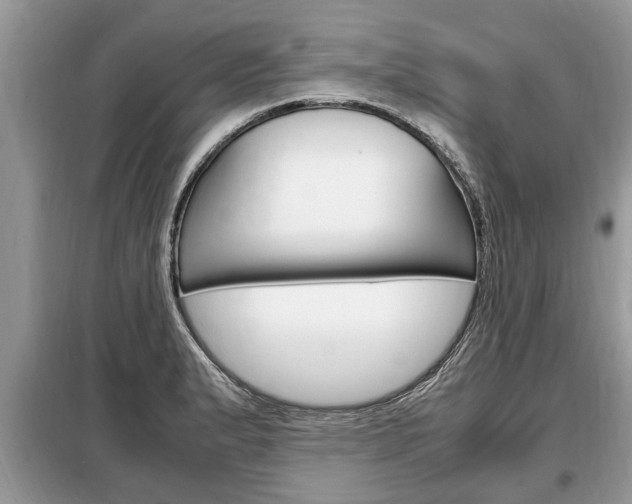 X0000099291183200805020726