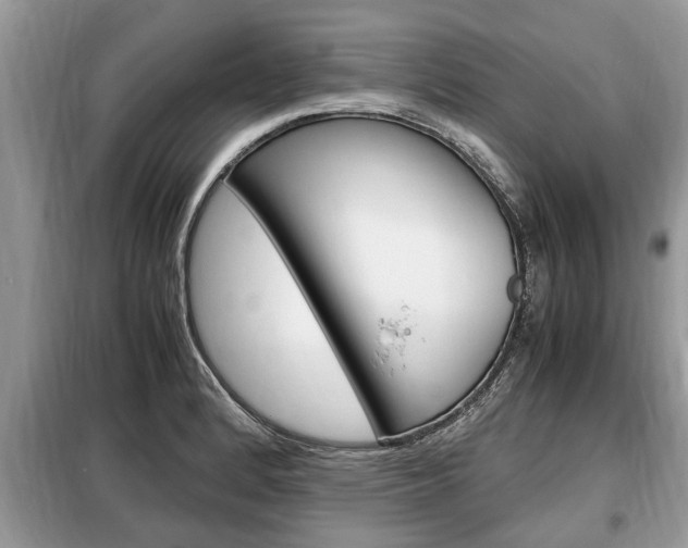 X0000099291184200805020726