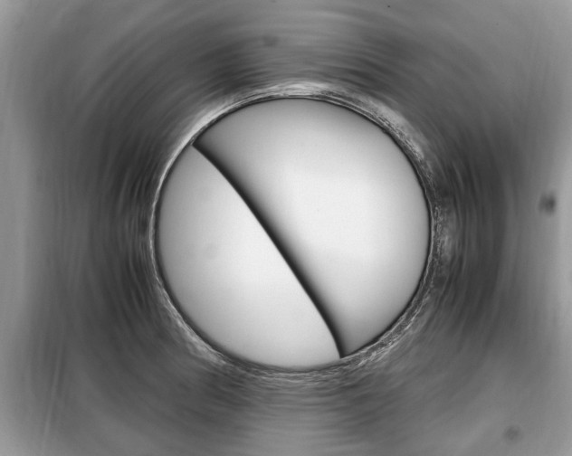 X0000099291186200805020726