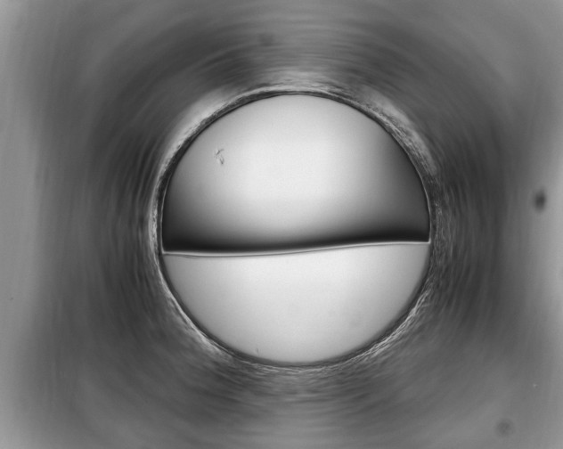 X0000099291188200805020726