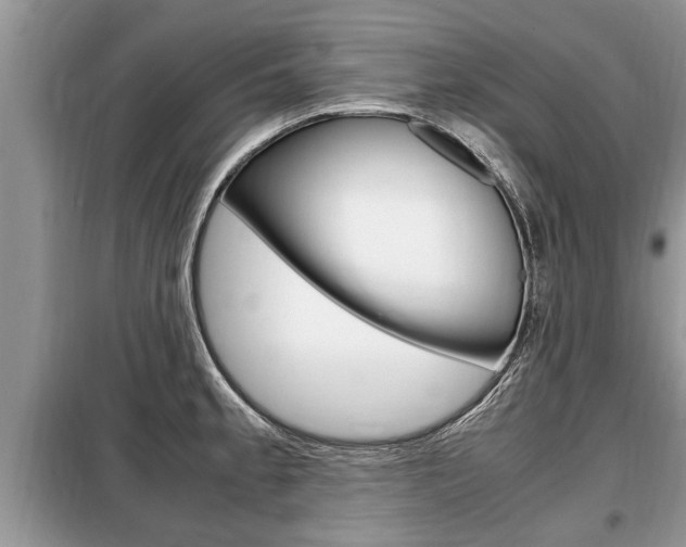 X0000099291189200805020726