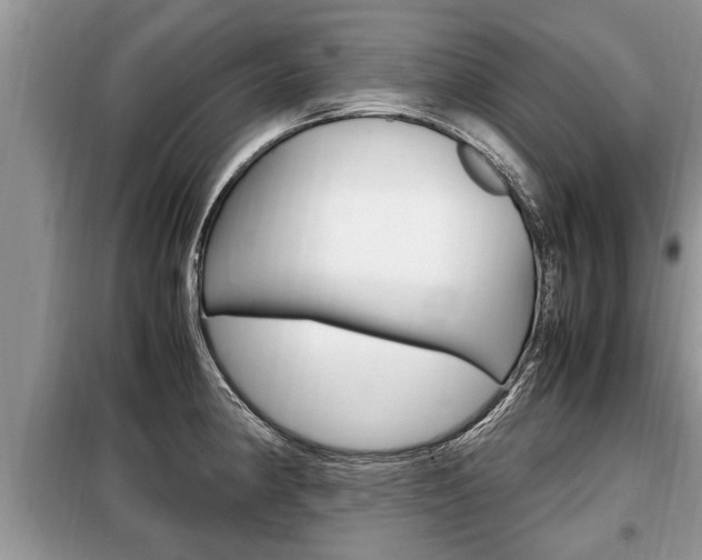 X0000099291190200805020726
