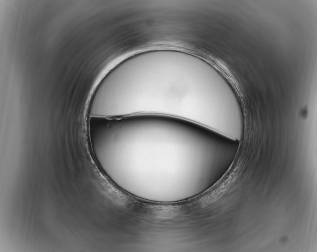 X0000099291192200805020726