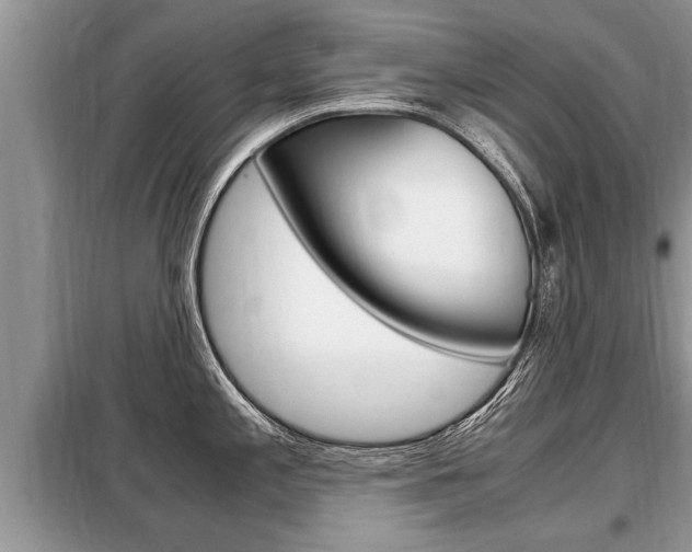 X0000099291197200805020725