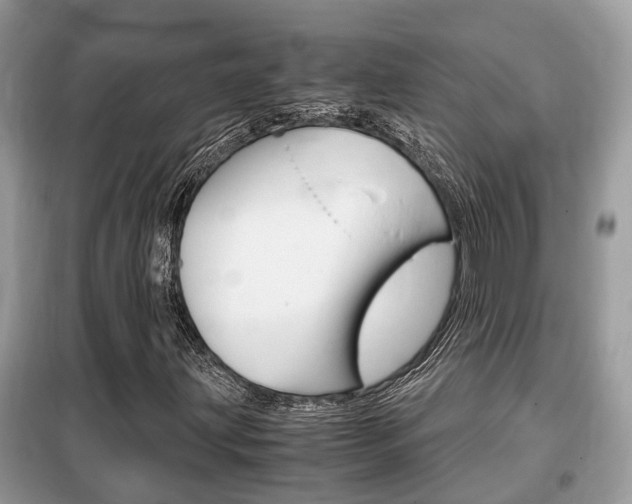 X0000099291203200805020725