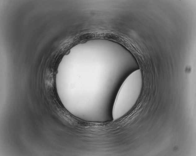 X0000099291204200805020725