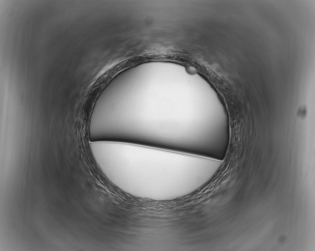 X0000099291206200805020725