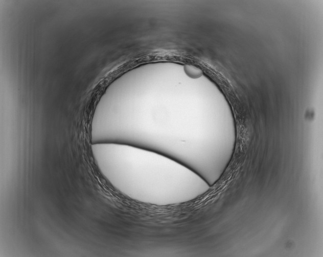 X0000099291207200805020725