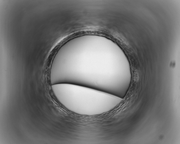 X0000099291208200805020725