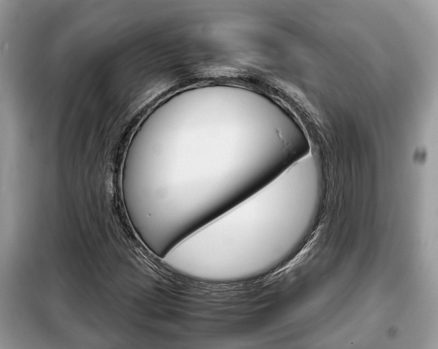 X0000099291209200805020725