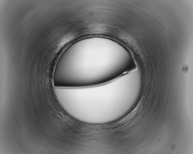 X0000099291210200805020725