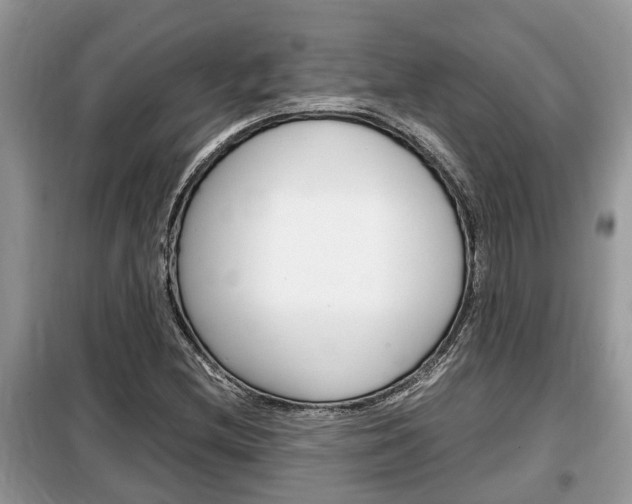 X0000099291212200805020725