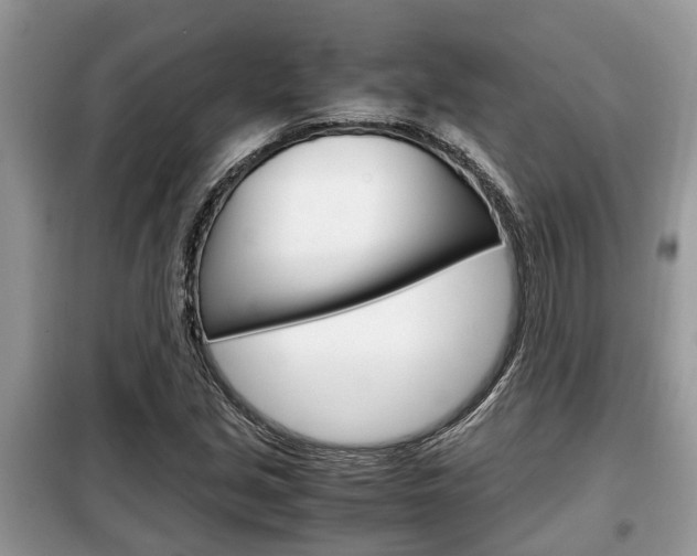 X0000099291213200805020725