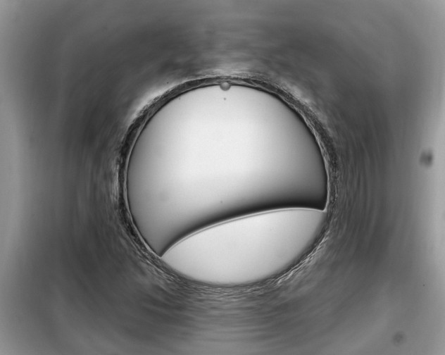 X0000099291214200805020725