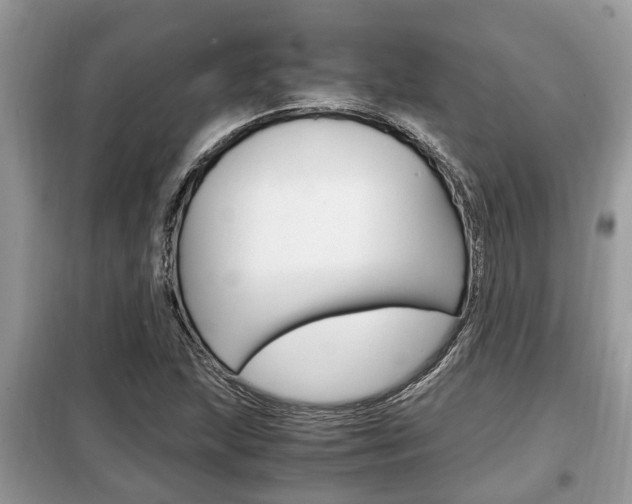 X0000099291215200805020725
