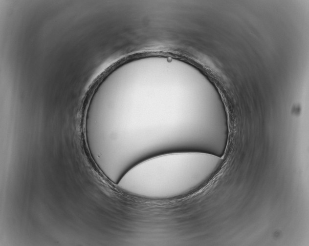 X0000099291216200805020725