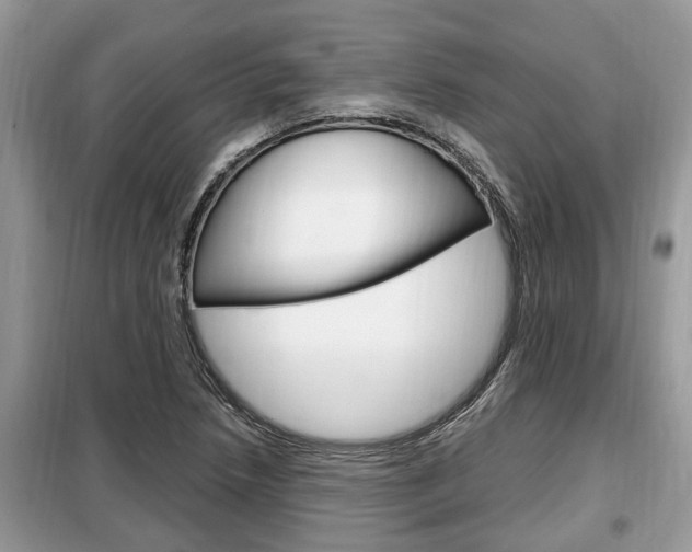 X0000099291218200805020725