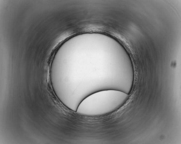 X0000099291219200805020725