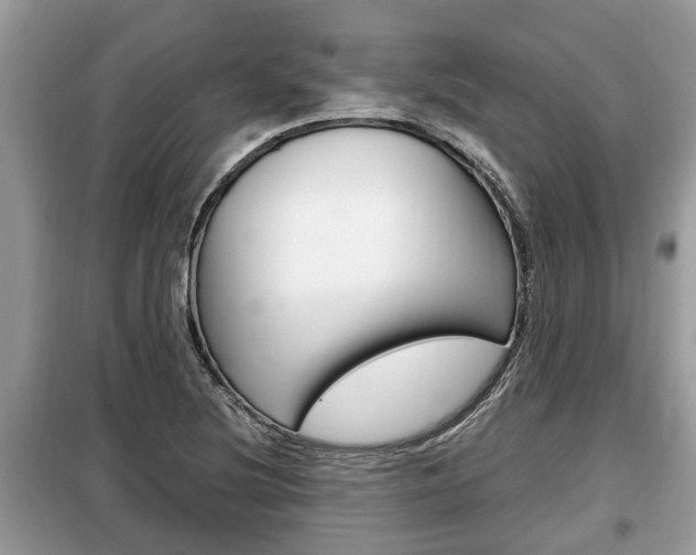 X0000099291220200805020725