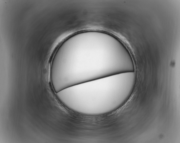 X0000099291223200805020725