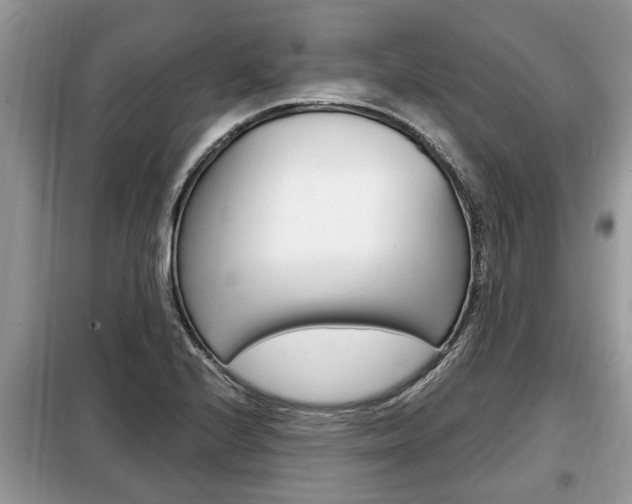 X0000099291224200805020725