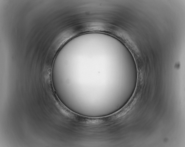 X0000099291225200805020725