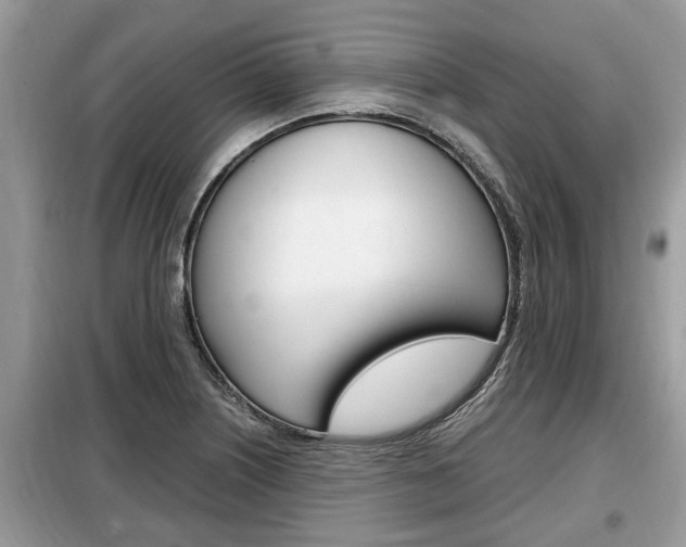 X0000099291226200805020725