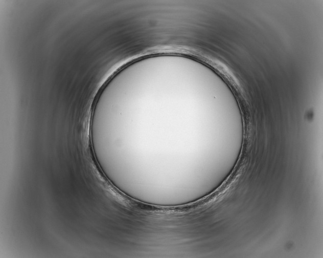X0000099291228200805020725