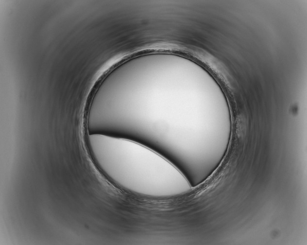 X0000099291229200805020725
