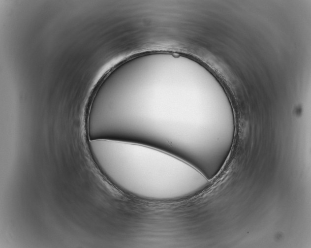 X0000099291230200805020725