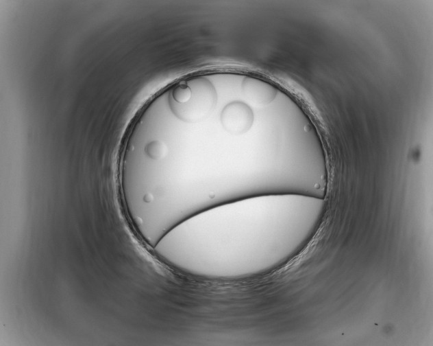 X0000099291231200805020725