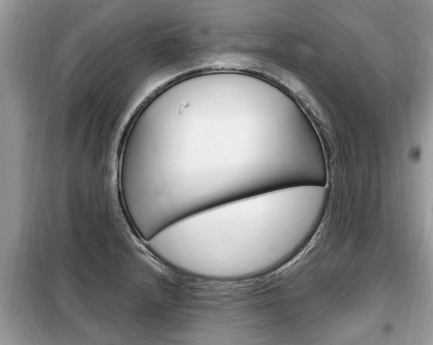X0000099291232200805020725
