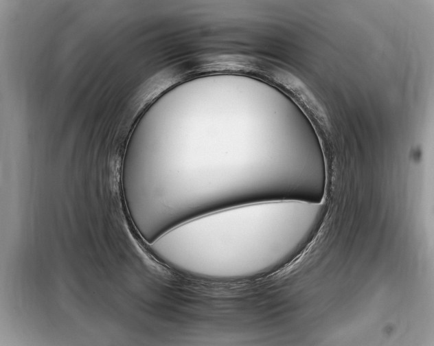X0000099291233200805020725