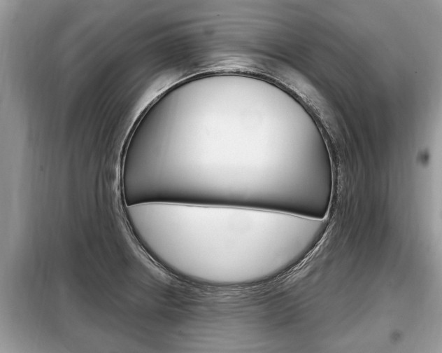 X0000099291234200805020725