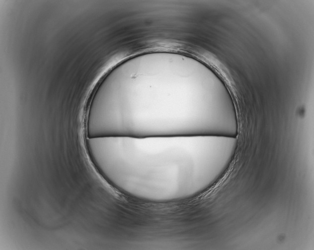 X0000099291235200805020725