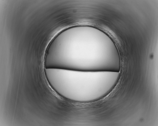 X0000099291236200805020725
