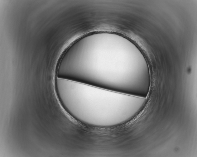 X0000099291237200805020725
