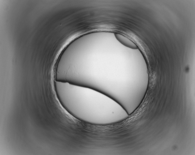 X0000099291243200805020725