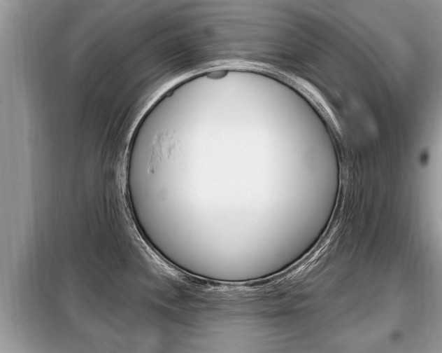 X0000099291244200805020725