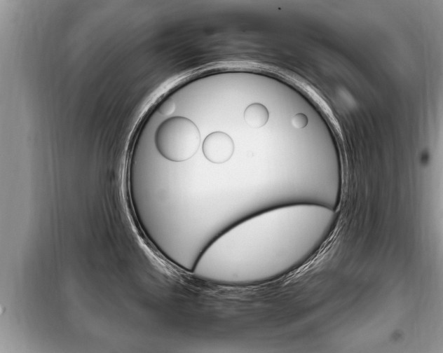 X0000099291245200805020725