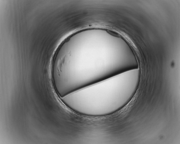X0000099291246200805020725
