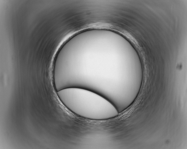 X0000099291248200805020725