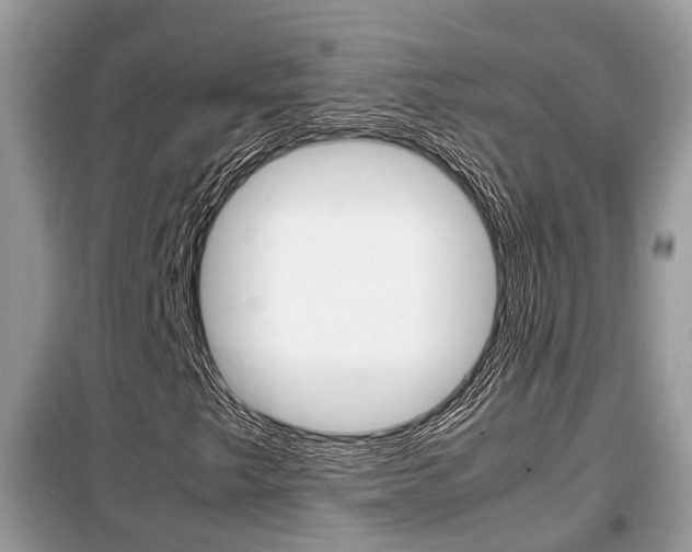 X0000099291249200805020725