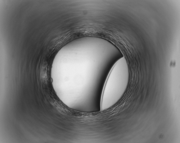 X0000099291250200805020725
